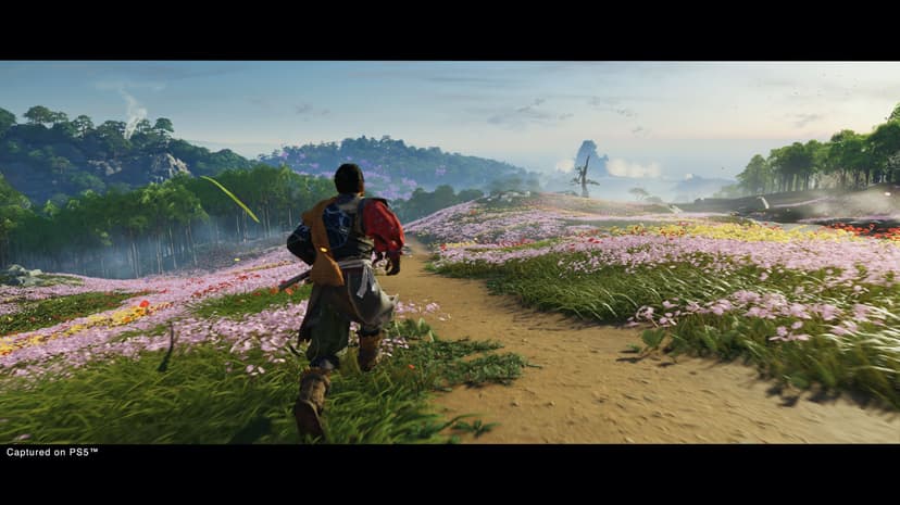 Psn ghost of tsushima sales