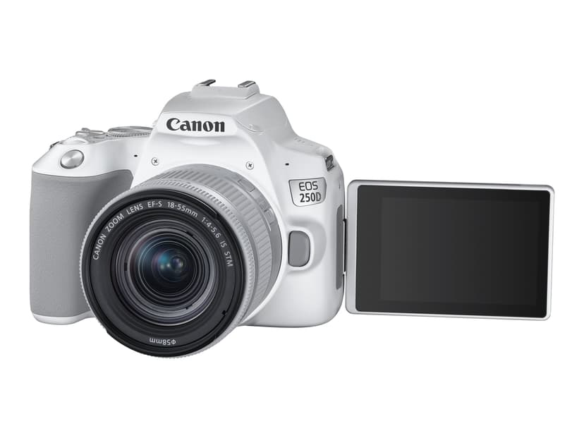 Canon EOS 250D + EF-S 18–55 mm