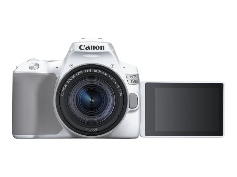 Canon EOS 250D + EF-S 18–55 mm