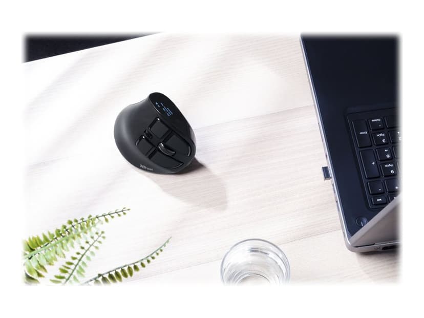 Trust Voxx ergonominen hiiri RF Wireless + Bluetooth 2400dpi