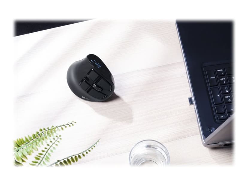 Trust Voxx ergonomisk mus Trådlös 2,400dpi Vertikal mus Svart