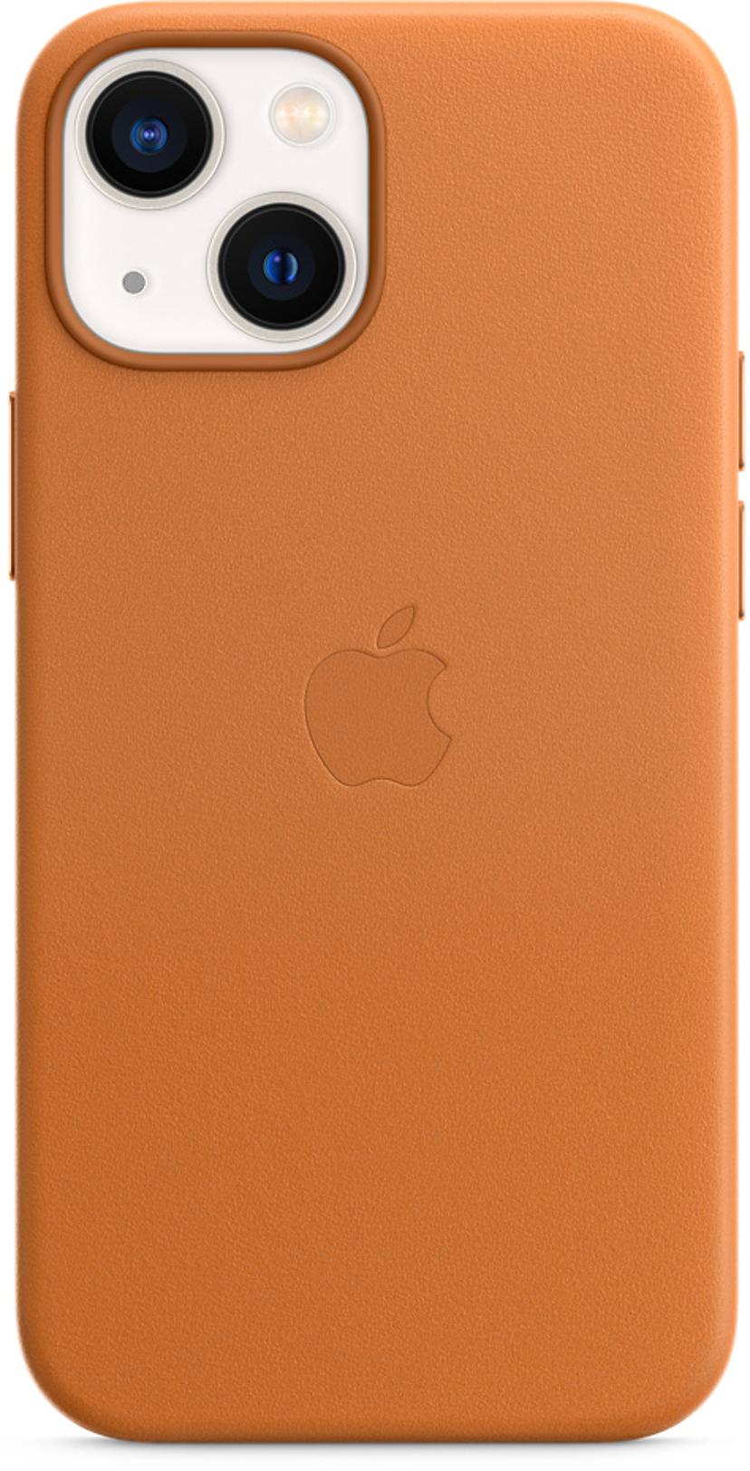 Apple leather shop case
