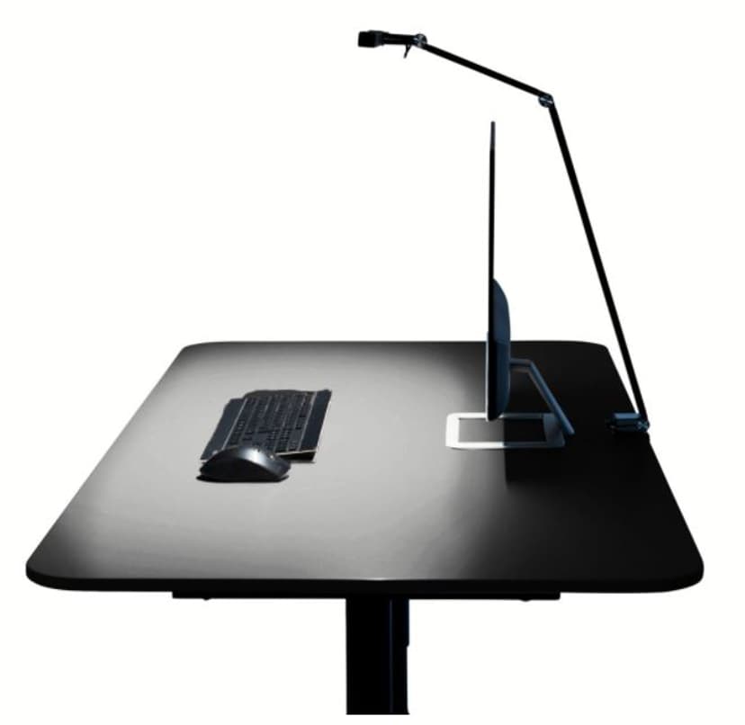 Sun-Flex ScreenLite Svart