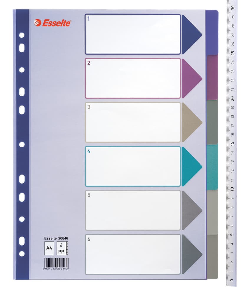 Esselte Register Multi 6-Flik Multifärgat 20 st/Fp 20-Pack