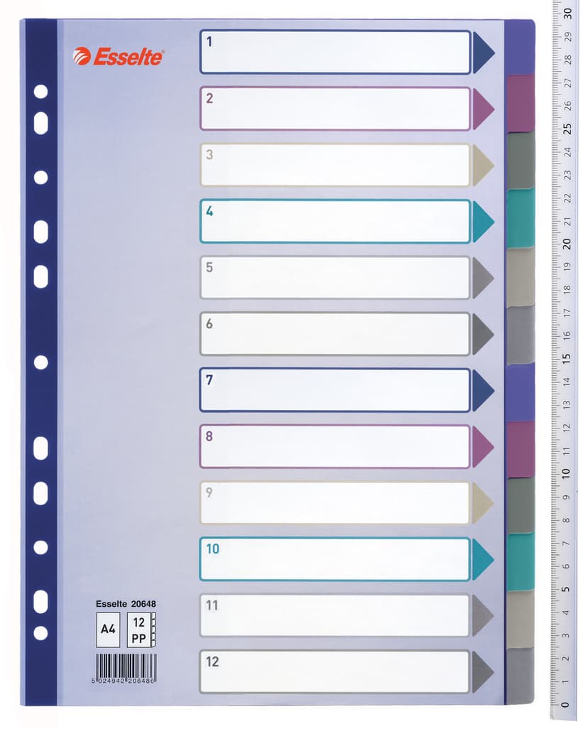 Esselte Register Multi 12-Flik Multifärgat 10-Pack