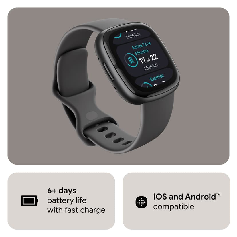 Fitbit Sense 2 Shadow Grey/Graphite Smart ur
