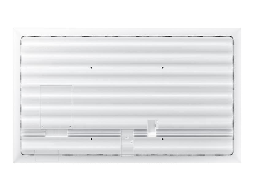 Samsung Flip WM55B Pro 55"