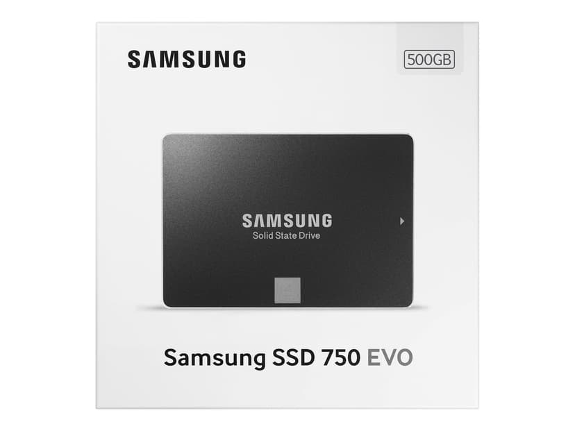 minimal Motel position Samsung 750 Evo 500GB 2.5" SATA-600 (MZ-750500BW) | Dustin.dk