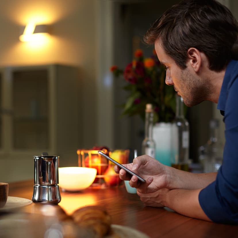 Philips Philips Hue Bridge