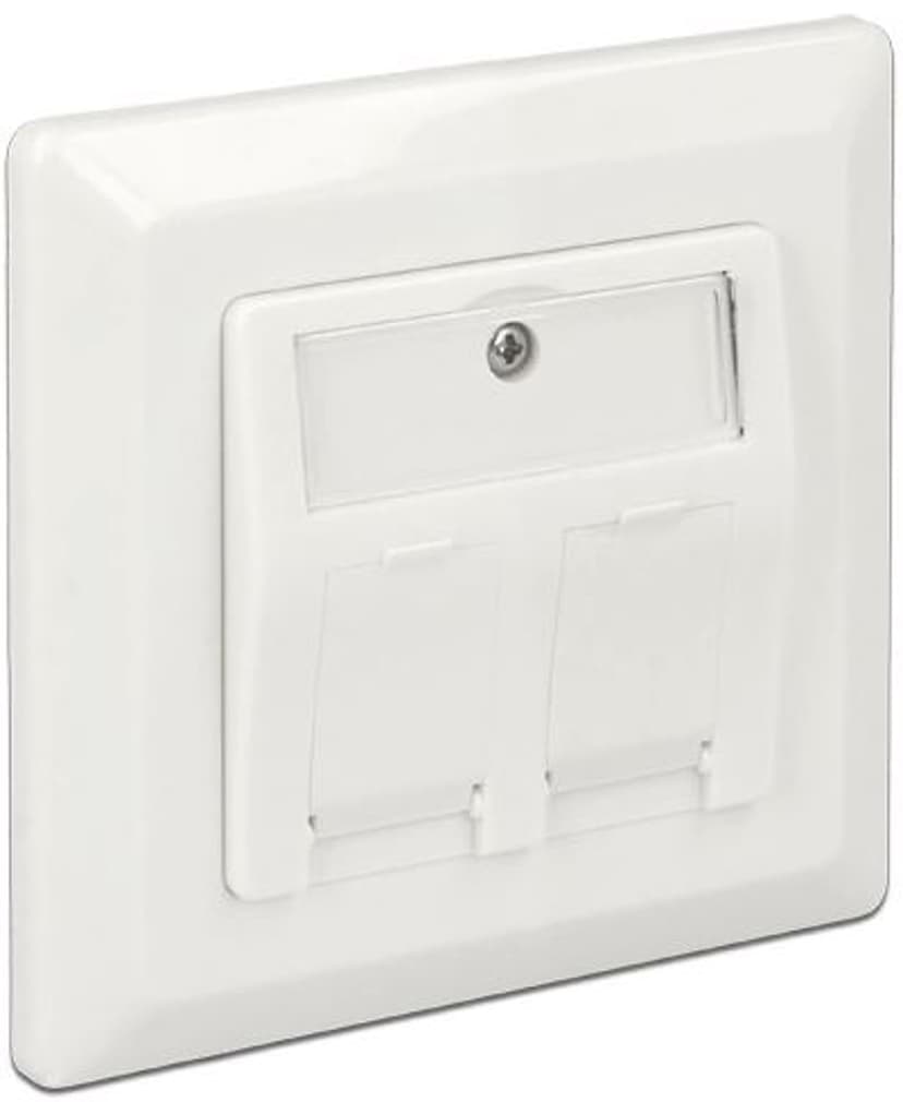 Delock 2 Port Keystone Vägguttag