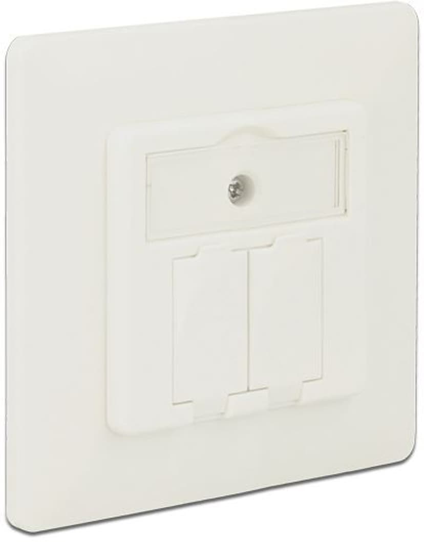 Delock 2 Port Keystone Wall Outlet Compact (86219) | Dustin.se