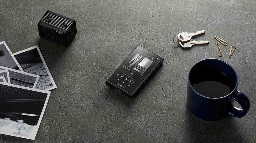 Sony Walkman NW-A105
