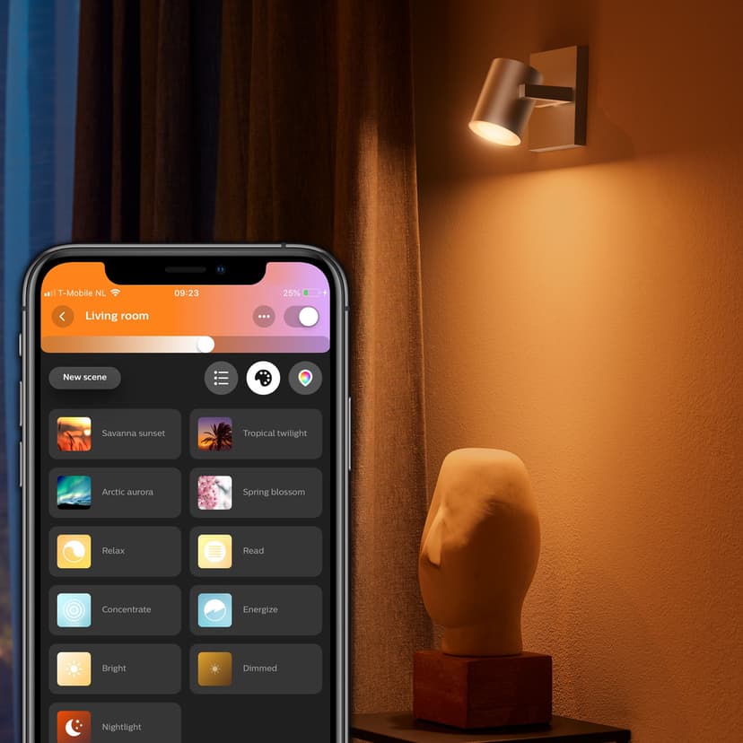 Philips Hue Argenta White/Color 1x5,7W Silver
