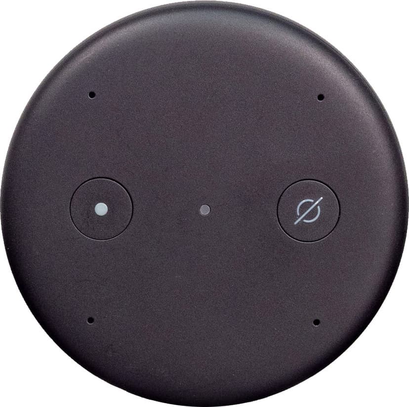 Echo input black discount