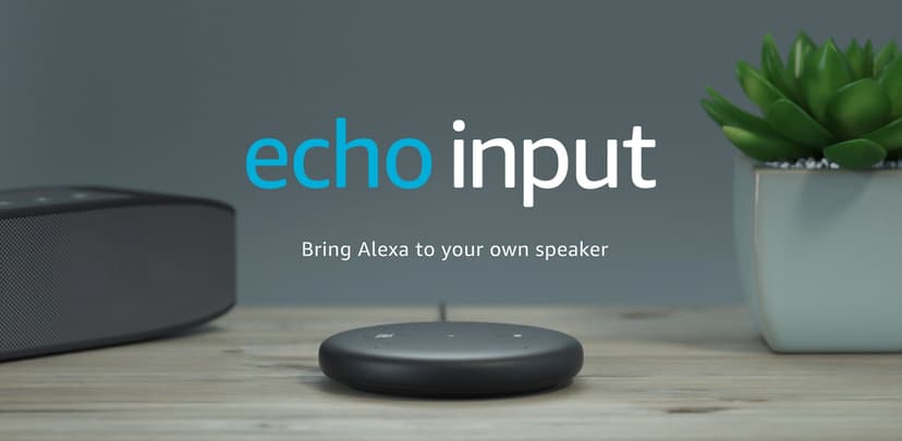 Echo sales input wifi