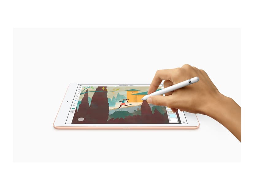 Apple iPad 2020 Wi Fi 10.2