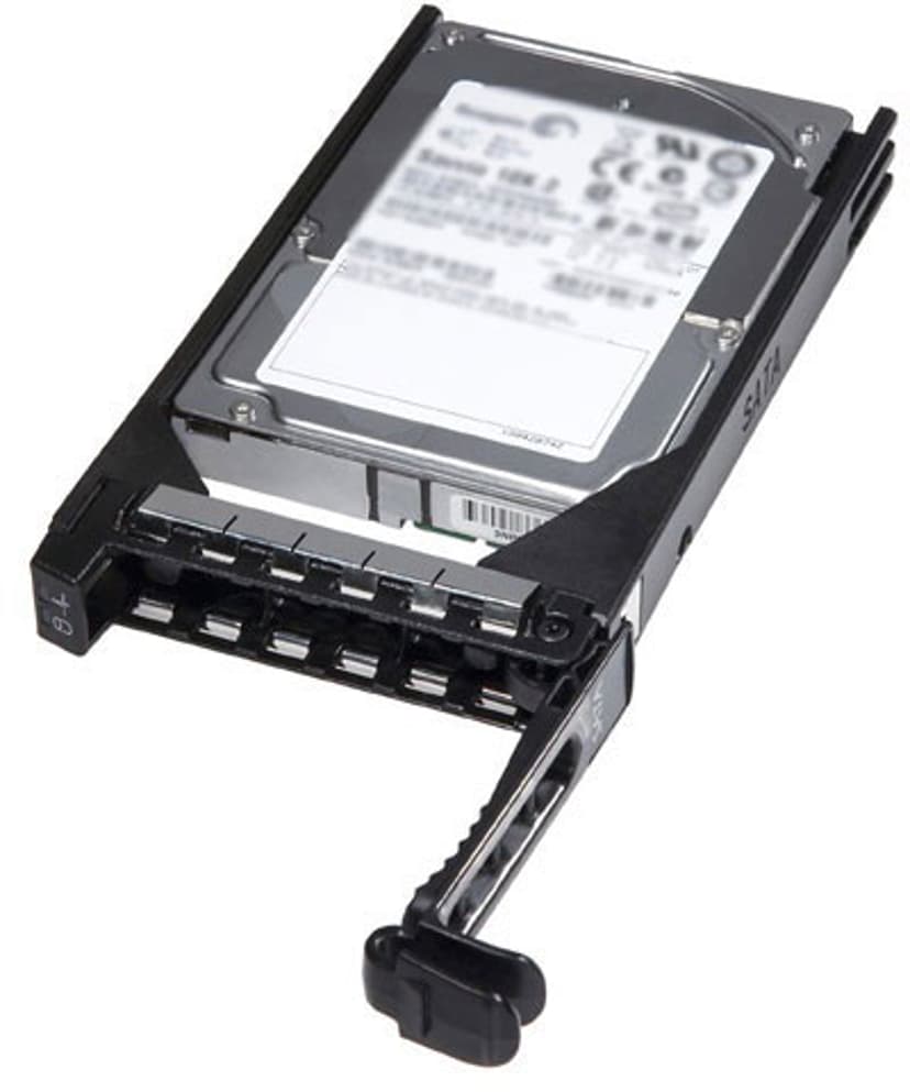 Dell Kiintolevy 2.5" 300GB SAS-2, Serial Attached SCSI 2 10000kierrosta/min