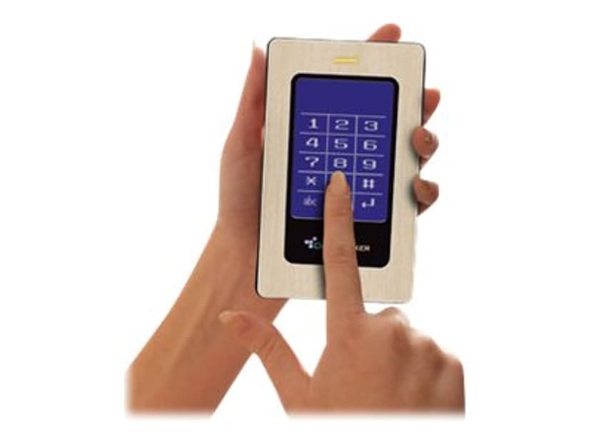 Datalocker DL3 FE  PIN & Two Pass 256-bit AES Crypt with 2 Factor RFID Sølv