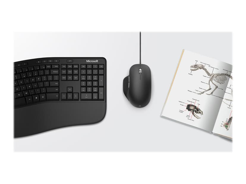Microsoft Ergonomic Mouse Kabelansluten Mus Svart