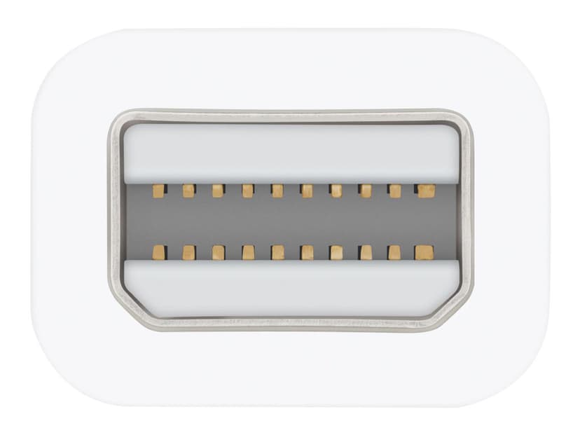 Apple Adapter