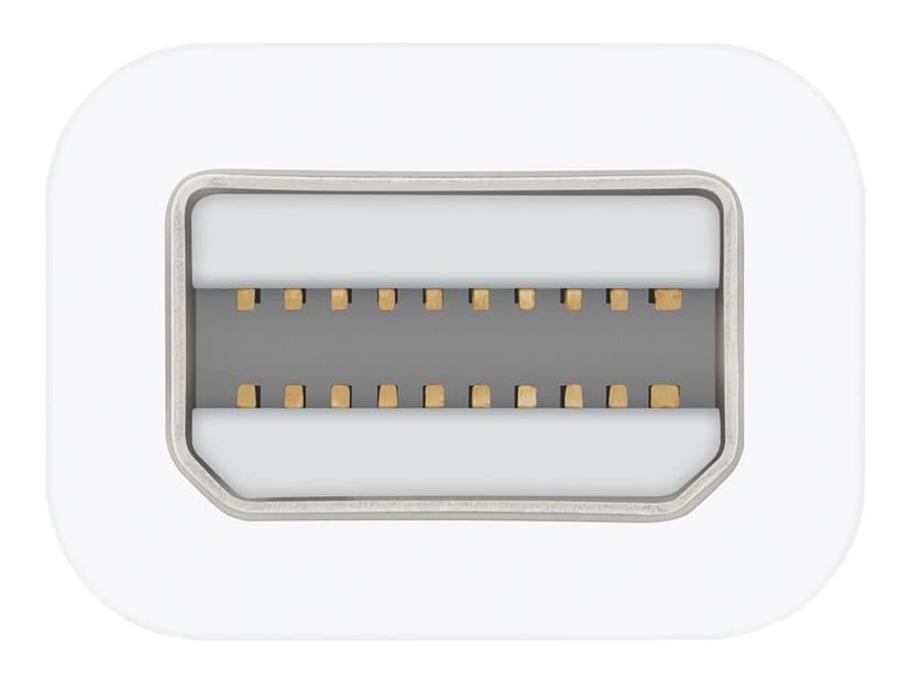Apple Adapter
