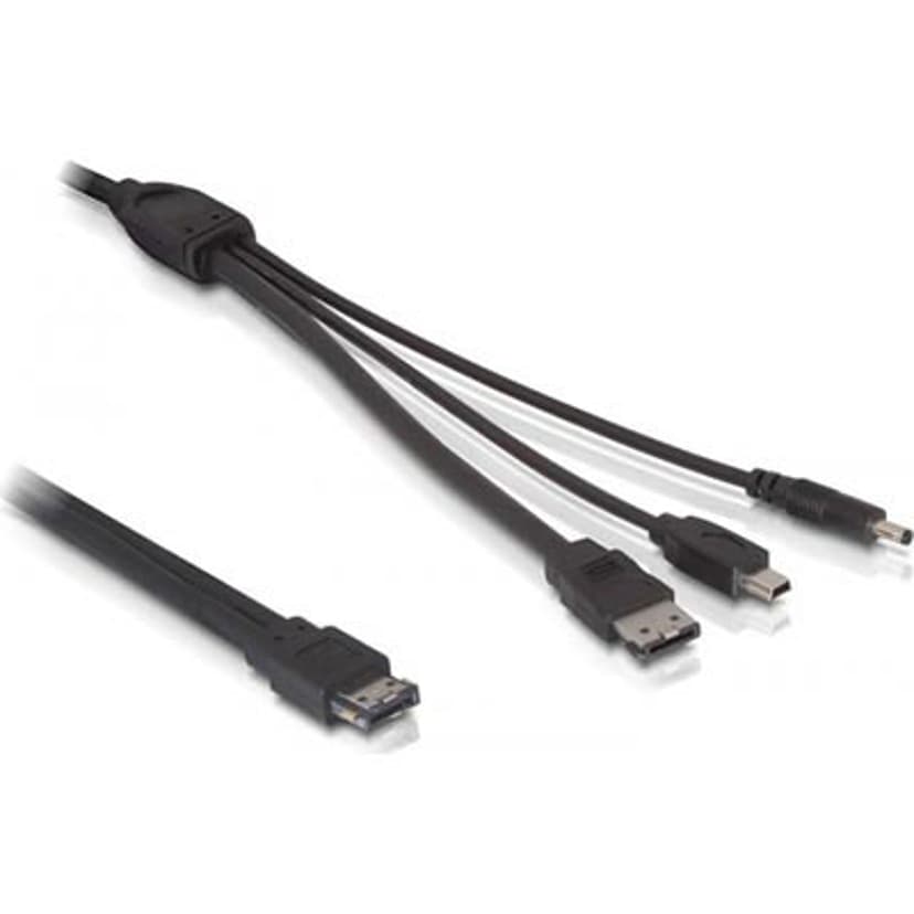 Delock Power Over ESATA -Kaapeli 11 pin USB/eSATA (5 V) Uros 3,5 mm:n DC-liitin, 7 pin external Serial ATA, Mini-USB Tyyppi B Uros