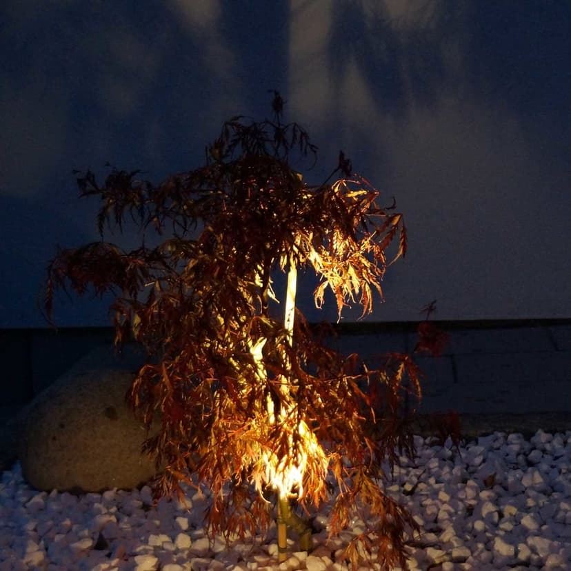LightsOn Luminus Trädgårdsspot Svart