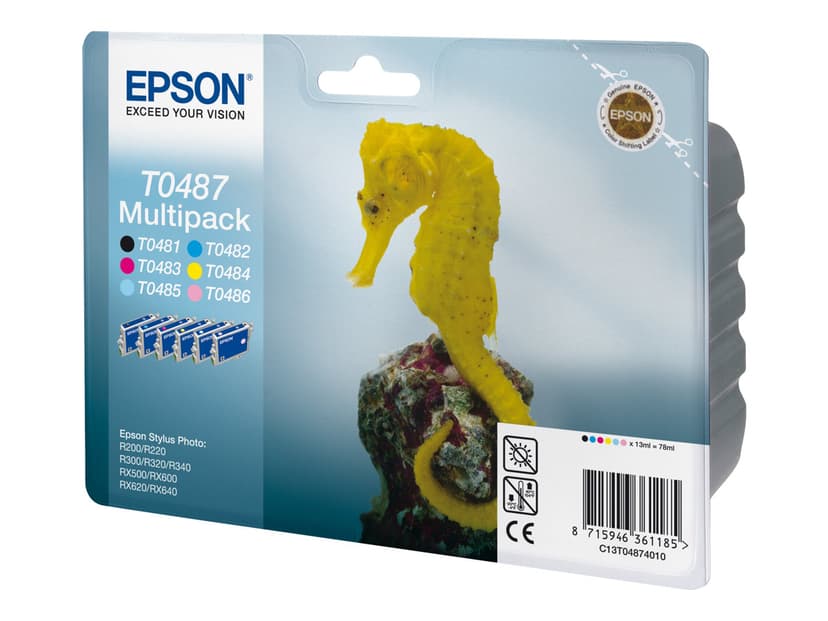 Epson Bläck Multipack T048 - R300