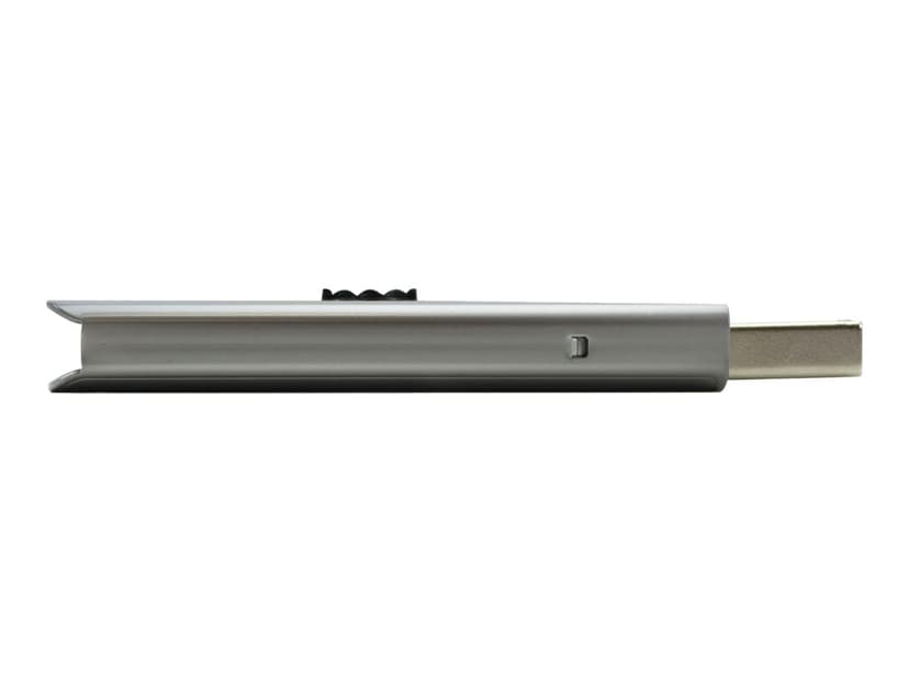 PNY Elite Steel 256GB USB 3.1
