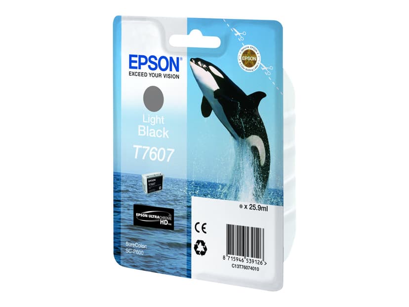 Epson Inkt Ljus Zwart T7607