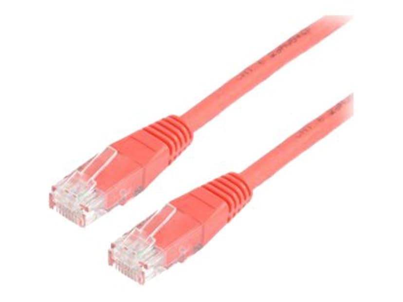 Prokord Network cable RJ-45 RJ-45 CAT 6 0.5m Rood