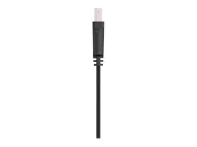 Belkin Pro Series USB-Kabel 1.8m 4 pin USB Type A Han 4 pin USB Type B Han
