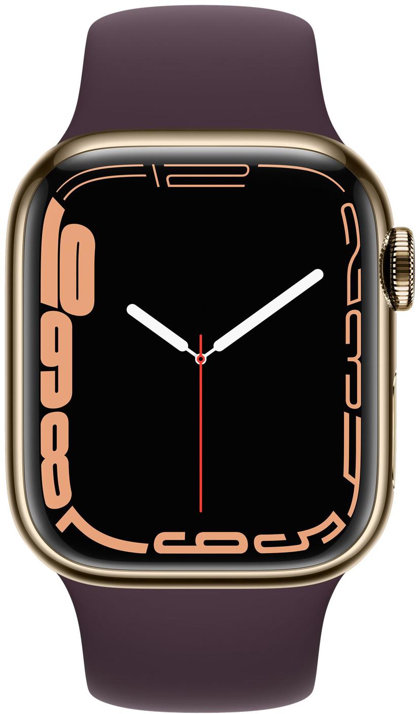 Apple Watch Series 7 GPS + Cellular, 41mm Gold Stainless Steel Case Series 7 Apple Watch Stainless Steel