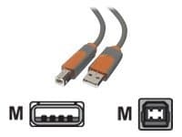 Belkin Pro Series Hi-Speed USB 2.0 Device Cable 3m 4 nastan USB- A Uros 4 pin USB Type B Uros