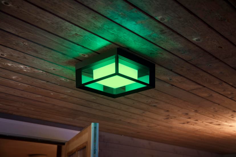 Philips Hue Econic Wall/Ceiling Outdoor Color