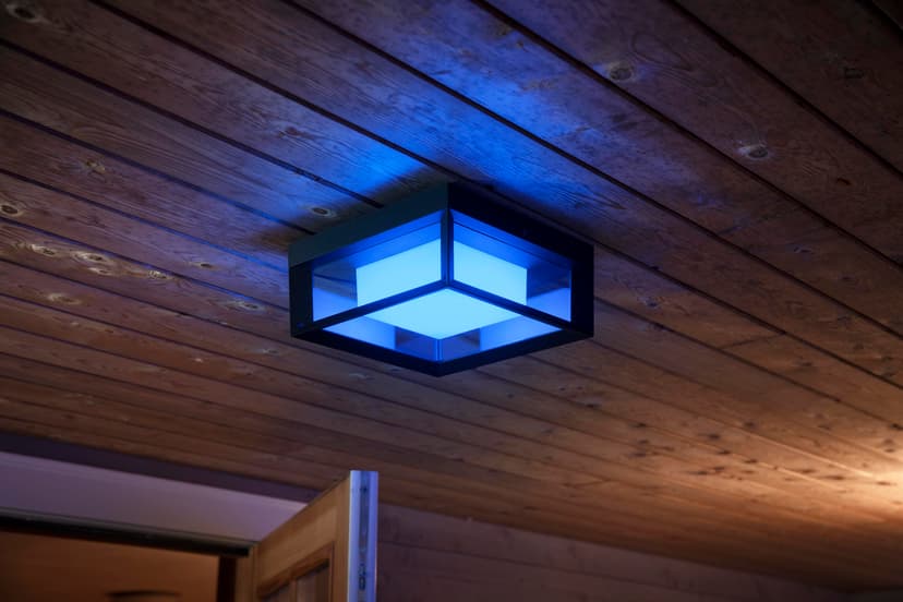 Philips Hue Econic Wall/Ceiling Outdoor Color